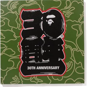 BAPE 30TH ANNIV. CANVAS LARGE